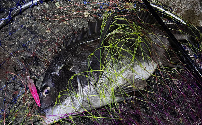 「梅雨の釣りは小雨と大雨で何が違う？」 魚の活性を左右する海中変化を解説