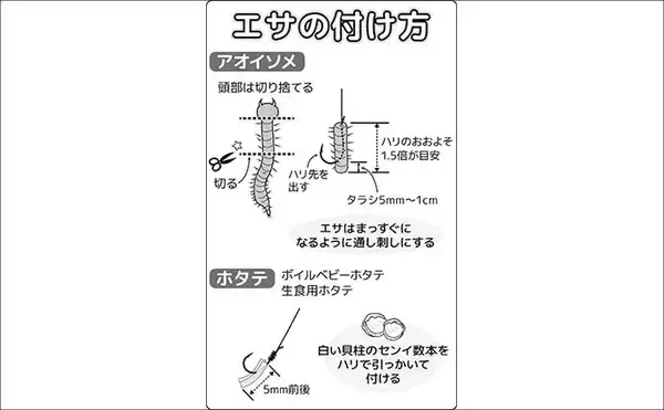 「東京湾のハゼ釣りを楽しもう　【タックル・仕掛け・エサ・釣り方・レシピを解説】」の画像