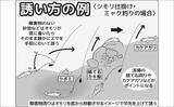 「東京湾のハゼ釣りを楽しもう　【タックル・仕掛け・エサ・釣り方・レシピを解説】」の画像5