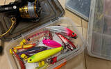「チニングで揃えておくべきルアーカラーはどれ？　3パターンあれば十分！」の画像4