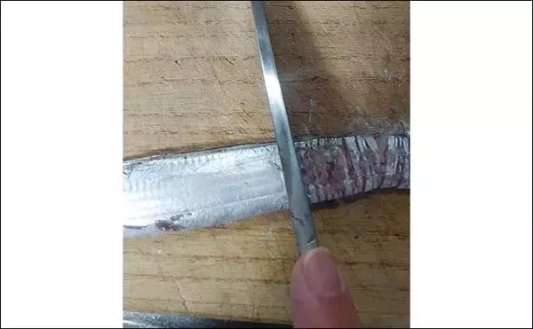 「釣魚「おつまみ」レシピ：小型タチウオの唐揚げ　捌き不要の骨切りでOK」の画像