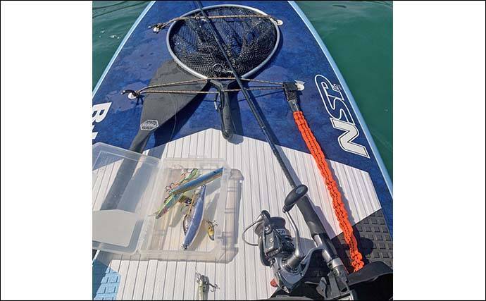 遠州灘SUPルアーフィッシングで2日間でマゴチ＆ヒラメ10匹と爆釣【愛知・豊橋】