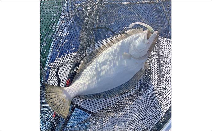 遠州灘SUPルアーフィッシングで2日間でマゴチ＆ヒラメ10匹と爆釣【愛知・豊橋】