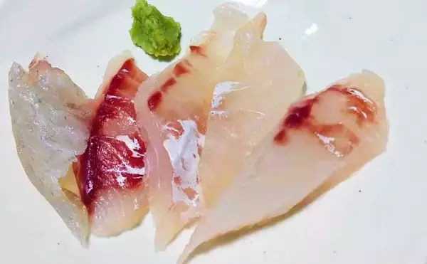 釣魚レシピ：チヌのライト昆布締め　〆時間は5～6時間でOK