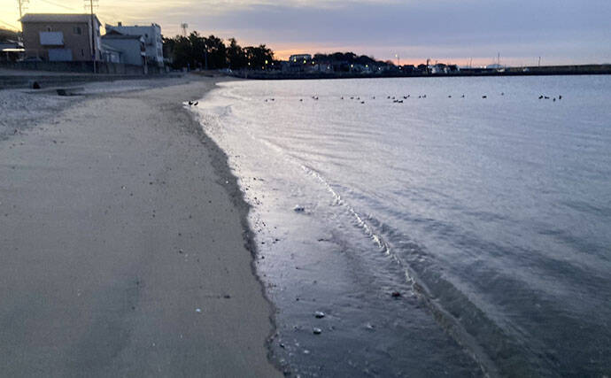 「自宅で魚を飼い始めたい！」 家族に理解してもらうための説明手順と方法とは？