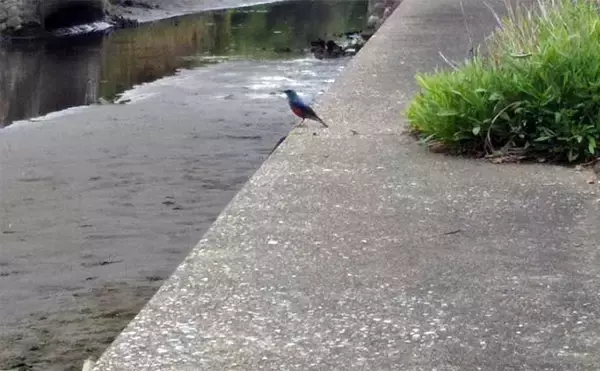 「ランディングネットのお手入れ術　自然環境にも配慮した臭い対策とは？」の画像