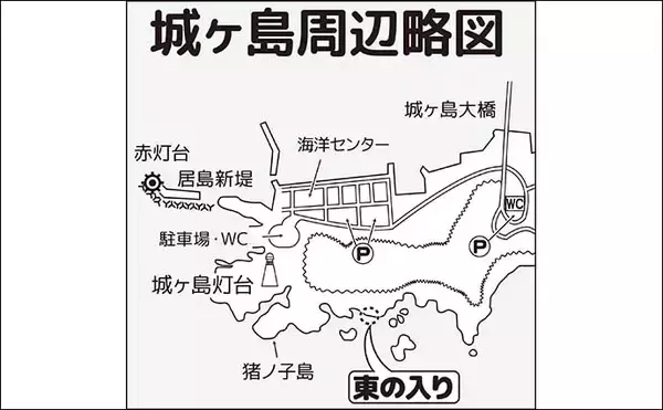 「城ヶ島での磯フカセ釣りで36cmメジナ顔出し【神奈川】好ゲストに1.5kg級クロダイ」の画像