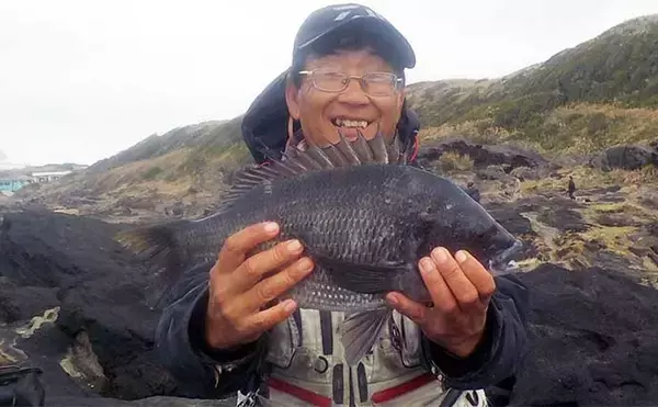 「城ヶ島での磯フカセ釣りで36cmメジナ顔出し【神奈川】好ゲストに1.5kg級クロダイ」の画像