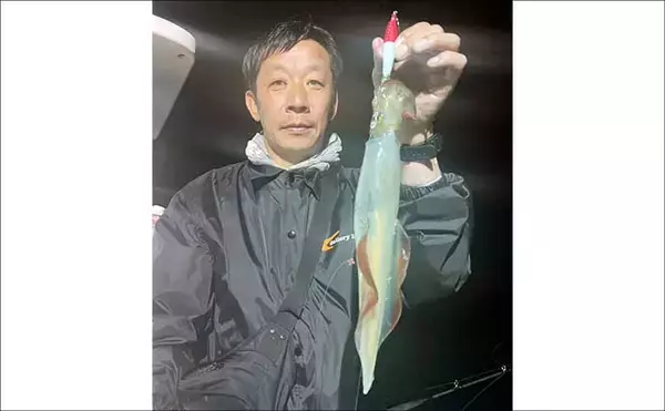 「【沖釣り釣果速報】玄界灘の夜焚きイカ釣りで竿頭がヤリイカ100尾超えを達成（福岡）」の画像