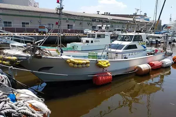 「【沖釣り釣果速報】玄界灘の夜焚きイカ釣りで竿頭がヤリイカ100尾超えを達成（福岡）」の画像