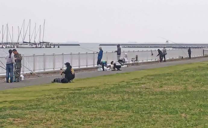 木更津港でサビキ＆泳がせ二本立て釣行【千葉】アジ10尾とスズキ70cmを確保！