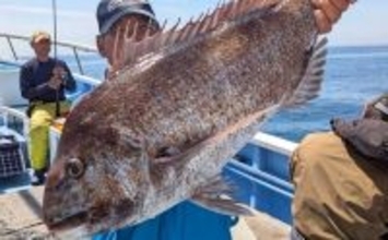 活エビでのテンヤ釣りで6kg超え大型マダイ浮上！　関東エリアの【船釣り特選釣果8選】