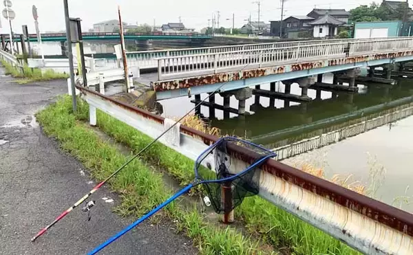 「ウナギ釣り釣果レポート：河川の橋ゲタ周りを狙って本命3匹キャッチ成功【筏川・愛知】」の画像