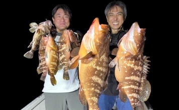 ナイトゲームで50cm超えキジハタが浮上！【オフショアルアー最新釣果8選・愛知／三重】