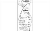「白子漁港のサビキ釣りでサッパ26匹【三重】投げサビキでブロック周りを狙い撃ち！」の画像2