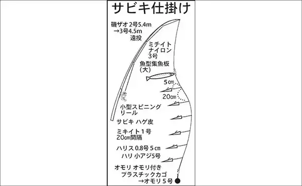 「白子漁港のサビキ釣りでサッパ26匹【三重】投げサビキでブロック周りを狙い撃ち！」の画像