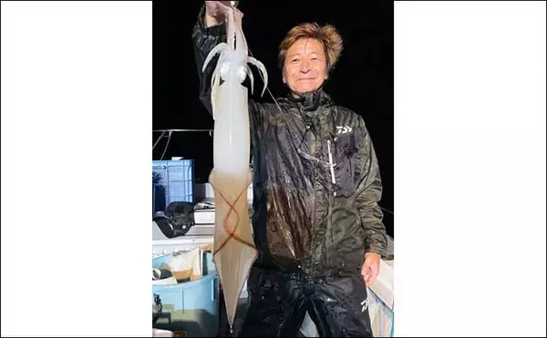「【玄界灘】夜焚きイカ最新釣果　50cmオーバー頭に良型ヤリイカ好調」の画像