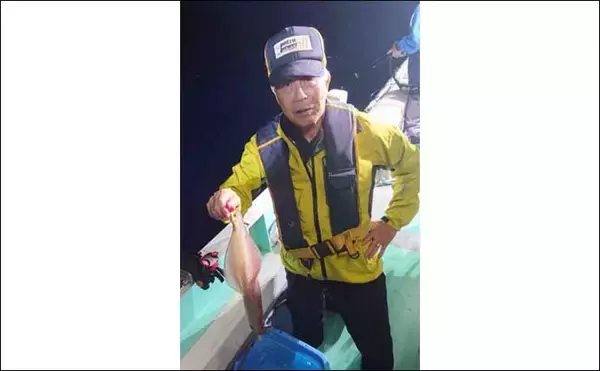 「【玄界灘】夜焚きイカ最新釣果　50cmオーバー頭に良型ヤリイカ好調」の画像