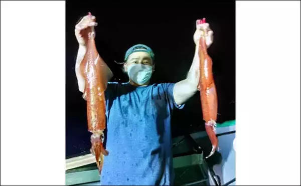 「【玄界灘】夜焚きイカ最新釣果　50cmオーバー頭に良型ヤリイカ好調」の画像