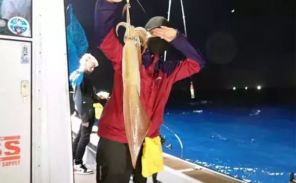 「【玄界灘】夜焚きイカ最新釣果　50cmオーバー頭に良型ヤリイカ好調」の画像
