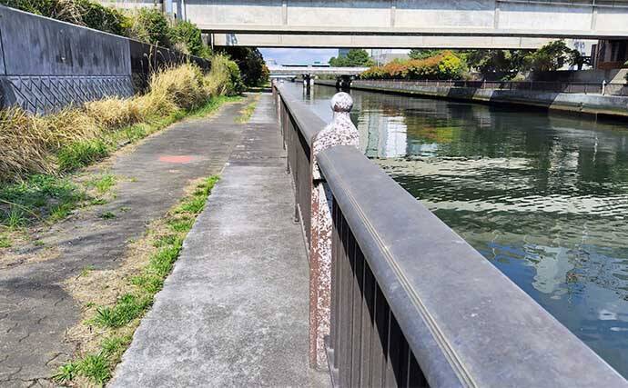 千葉県の『夢の河川』で60cm級シーバスが連発　買い物と釣りが一緒に楽しめる