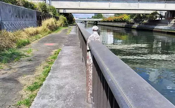 「千葉県の『夢の河川』で60cm級シーバスが連発　買い物と釣りが一緒に楽しめる」の画像