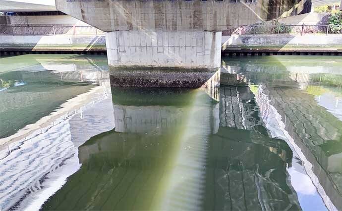 千葉県の『夢の河川』で60cm級シーバスが連発　買い物と釣りが一緒に楽しめる