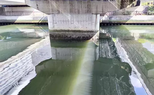 「千葉県の『夢の河川』で60cm級シーバスが連発　買い物と釣りが一緒に楽しめる」の画像