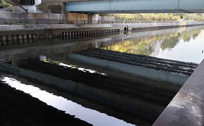 千葉県の『夢の河川』で60cm級シーバスが連発　買い物と釣りが一緒に楽しめる