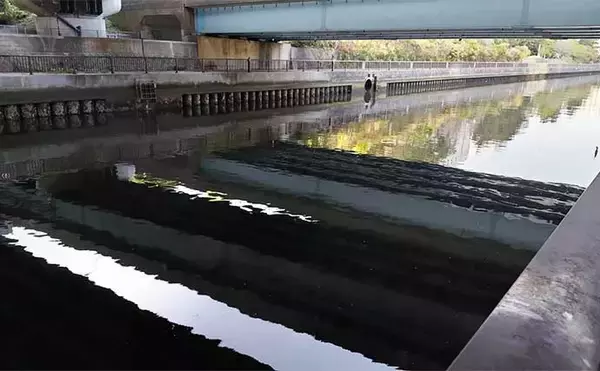 「千葉県の『夢の河川』で60cm級シーバスが連発　買い物と釣りが一緒に楽しめる」の画像