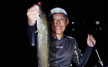 春のナマズゲーム（ルアーナマズ釣り）入門 【タックル・ルアー・釣り方を解説】