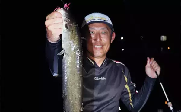 春のナマズゲーム（ルアーナマズ釣り）入門 【タックル・ルアー・釣り方を解説】