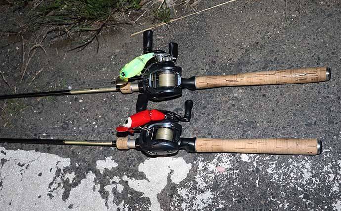 春のナマズゲーム（ルアーナマズ釣り）入門 【タックル・ルアー・釣り方を解説】