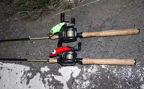 「春のナマズゲーム（ルアーナマズ釣り）入門 【タックル・ルアー・釣り方を解説】」の画像