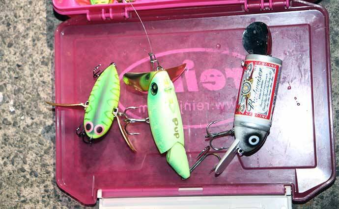 春のナマズゲーム（ルアーナマズ釣り）入門 【タックル・ルアー・釣り方を解説】