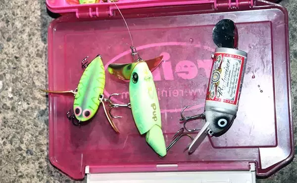 「春のナマズゲーム（ルアーナマズ釣り）入門 【タックル・ルアー・釣り方を解説】」の画像