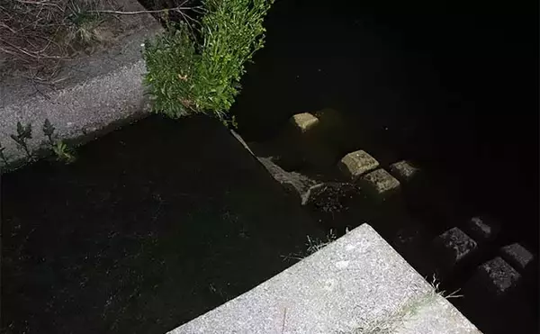 「春のナマズゲーム（ルアーナマズ釣り）入門 【タックル・ルアー・釣り方を解説】」の画像