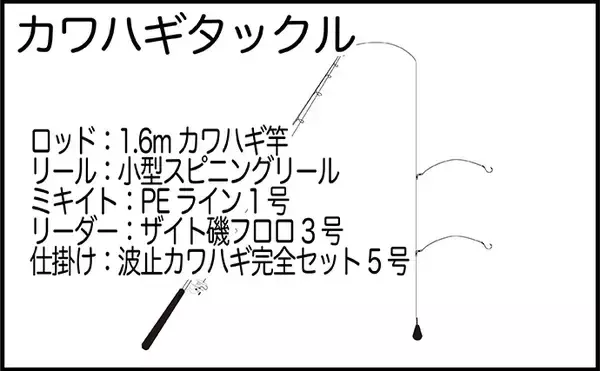 「「シーズン開幕！」レンタルボートでのカワハギ釣りで5尾キャッチ【熊本】アラカブは連発」の画像