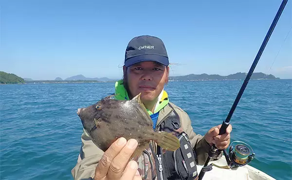 「「シーズン開幕！」レンタルボートでのカワハギ釣りで5尾キャッチ【熊本】アラカブは連発」の画像