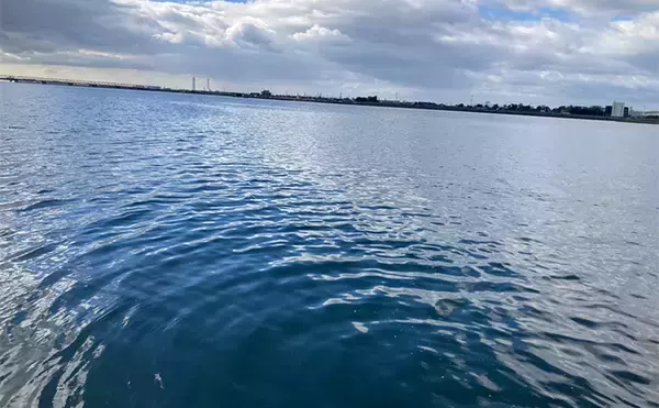 「「正月の甘露煮用の魚を釣る！」ちょい投げ釣りで14cm頭に良型ハゼを手中【三重】」の画像