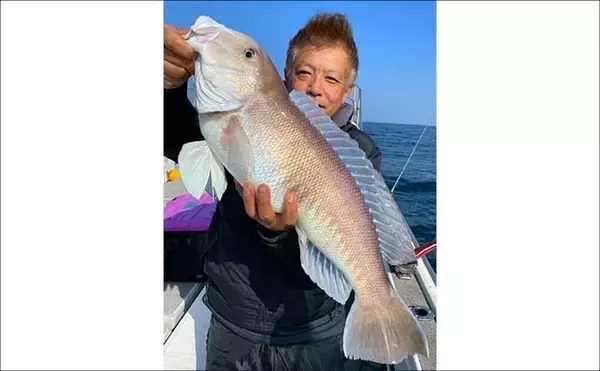 「【沖釣り釣果速報】大分沖のタチウオ便で指幅6本級ドラゴンサイズ浮上！（大分・熊本）」の画像