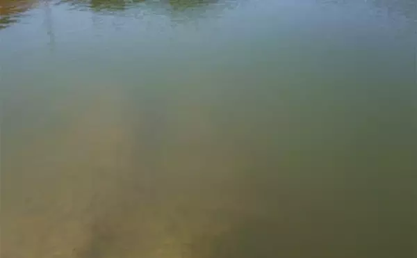 「ルアーでアメリカナマズを狙ってみた【京都】自作ルアー不発も定番のバイブレーションでGET」の画像