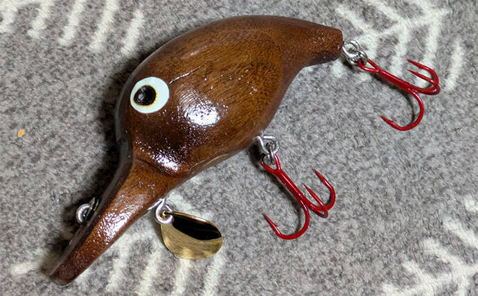 ルアーでアメリカナマズを狙ってみた【京都】自作ルアー不発も定番のバイブレーションでGET