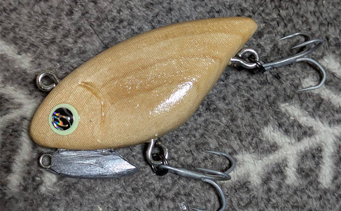 ルアーでアメリカナマズを狙ってみた【京都】自作ルアー不発も定番のバイブレーションでGET