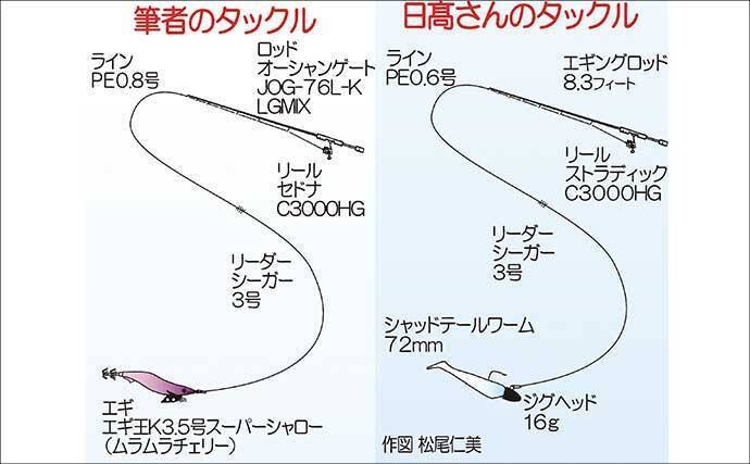 爆風の堤防エギングでアオリイカ手中！【熊本・天草崎津】ソフトルアーで40cm級カマスも登場
