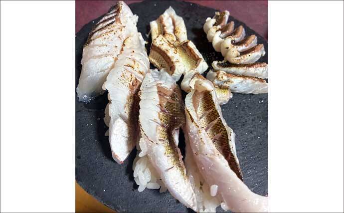 爆風の堤防エギングでアオリイカ手中！【熊本・天草崎津】ソフトルアーで40cm級カマスも登場