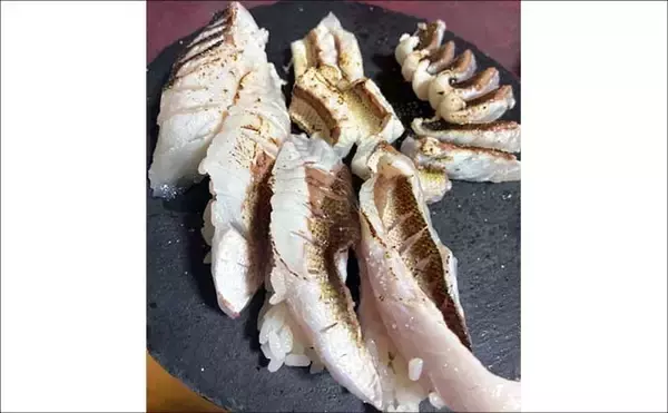 「爆風の堤防エギングでアオリイカ手中！【熊本・天草崎津】ソフトルアーで40cm級カマスも登場」の画像