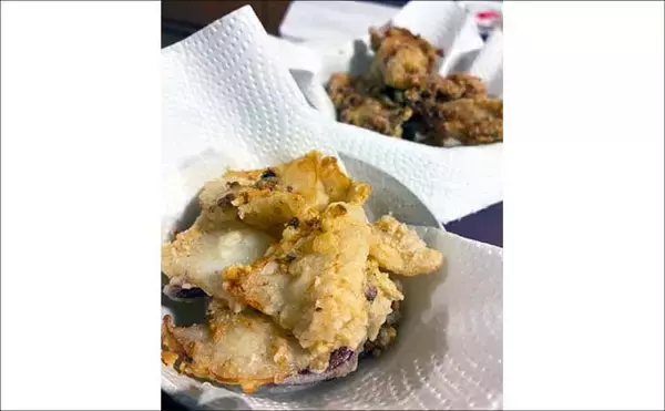 「爆風の堤防エギングでアオリイカ手中！【熊本・天草崎津】ソフトルアーで40cm級カマスも登場」の画像