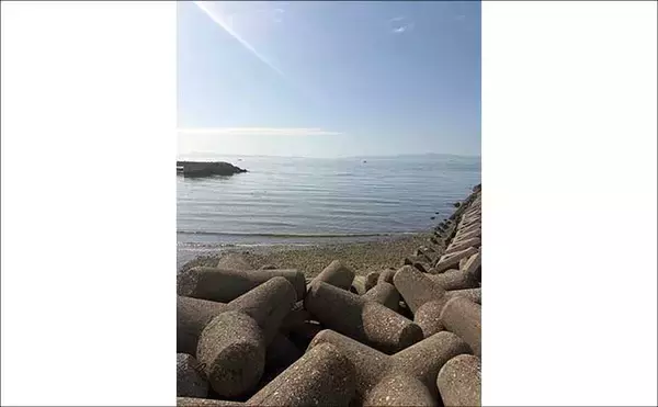 「2026年の春は大阪湾沿岸にアジの回遊なし？　5月中旬までは可能性あり」の画像