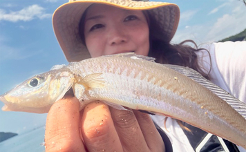 野釜島の投げ釣りで24cmのシロギスを手中【熊本】チニングでは本命不発もダツがヒット